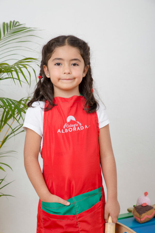 Delantal Navidad - Imagen 2